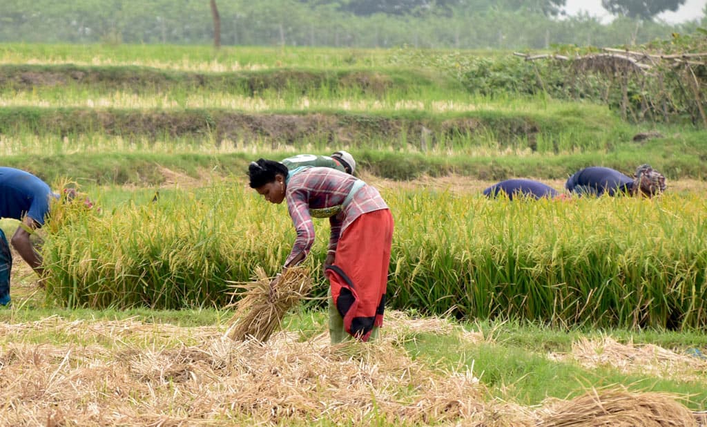 দিনের ছবি (৩১ মে, ২০২৩)