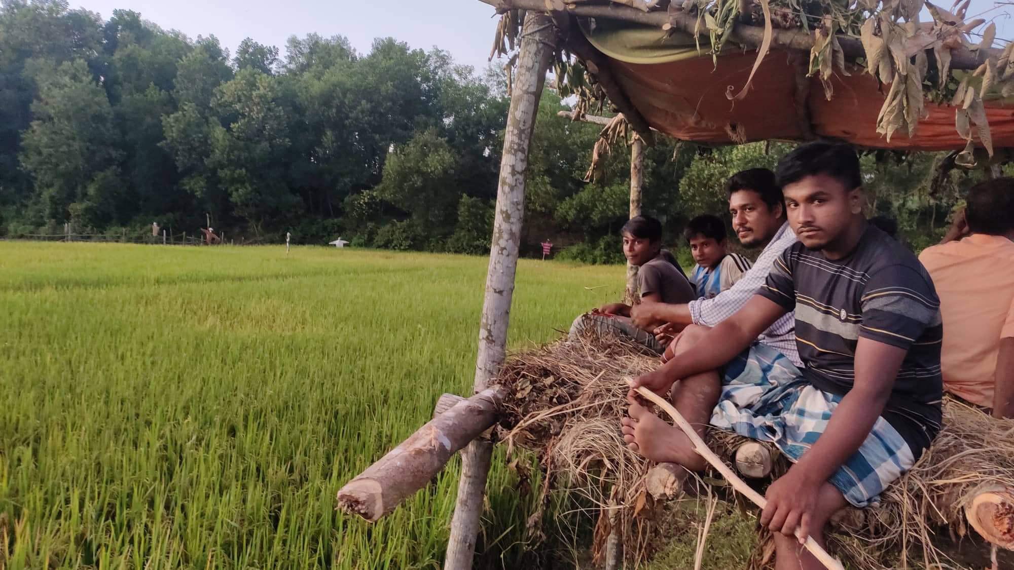 বন্য হাতির আক্রমণ, ধান  নিয়ে দুশ্চিন্তা কৃষকের