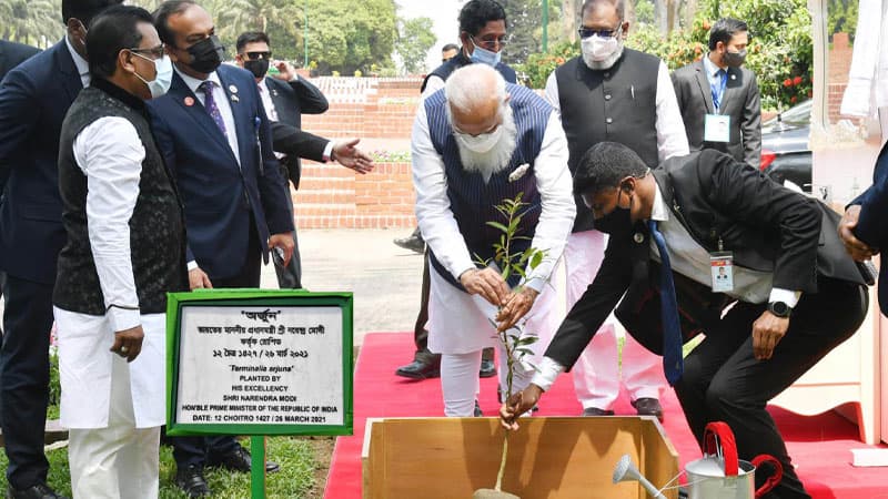 স্মৃতিসৌধে অর্জুন গাছ রোপন করেছেন মোদি