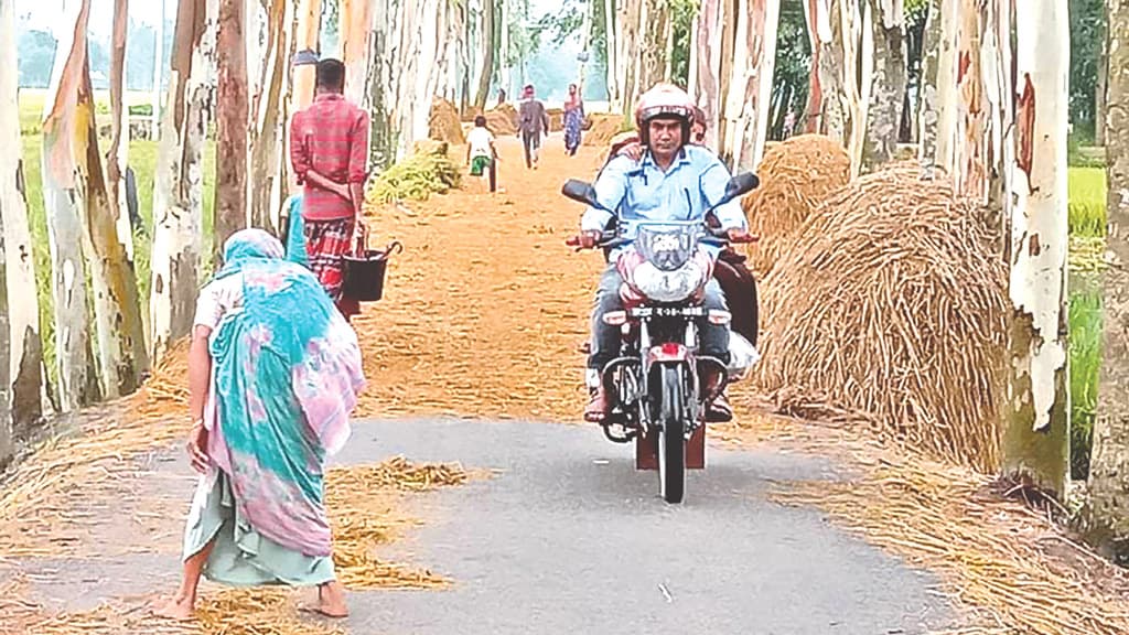 তবু সড়কই ধান শুকানোর জায়গা