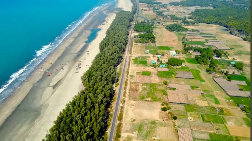 মেরিন ড্রাইভ প্রশস্তকরণ প্রকল্পে কাটা পড়বে সাড়ে ৬ হাজার গাছ