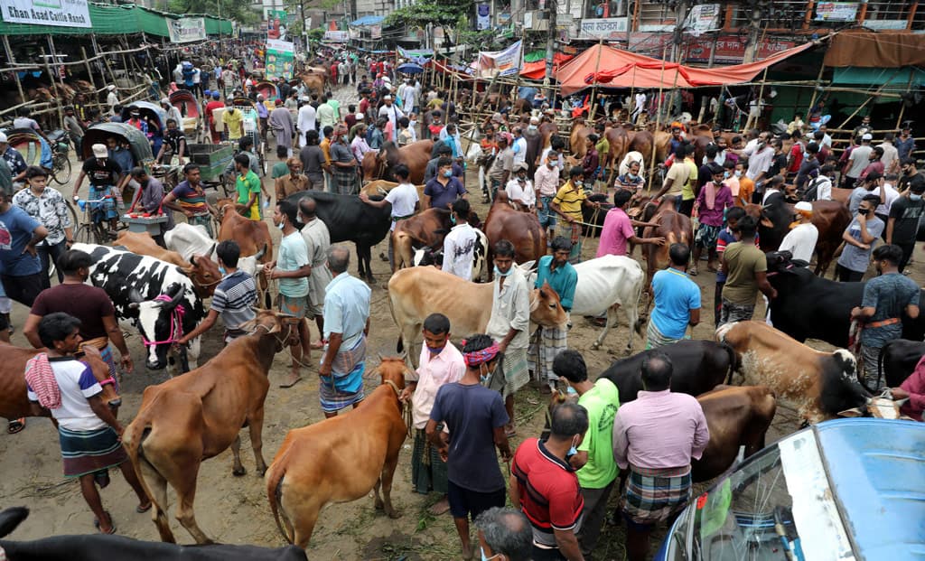 ঢাকার দুই সিটিতে বসবে ১৬ অস্থায়ী পশুর হাট