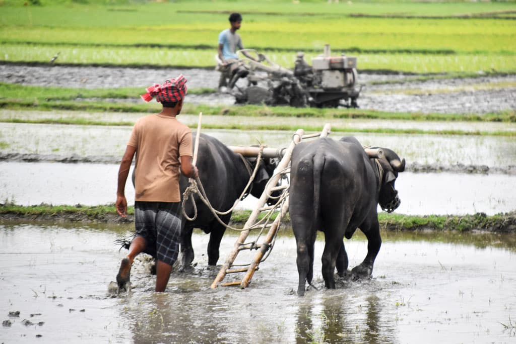 দিনের ছবি (২৯ জুলাই, ২০২৪)