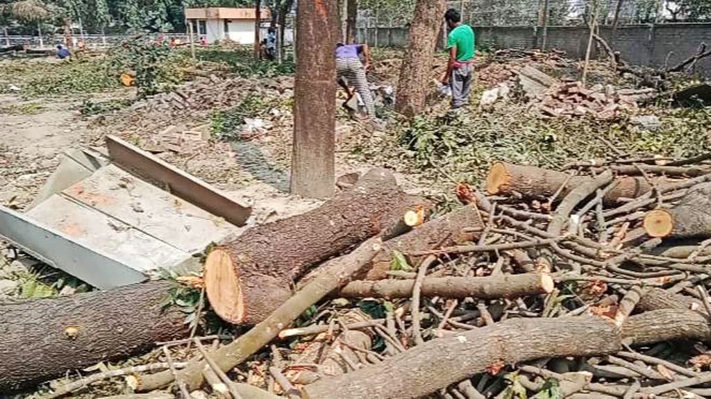 সৈয়দপুর বিমানবন্দরের অর্ধকোটি টাকার গাছ ৬ লাখে বিক্রি