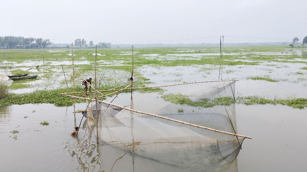 দিনের ছবি (৬ অক্টোবর ২০২৪)