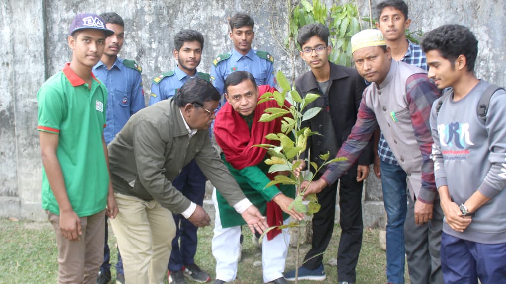 বিজয়ের সুবর্ণ জয়ন্তীতে গাছের চারা রোপণ