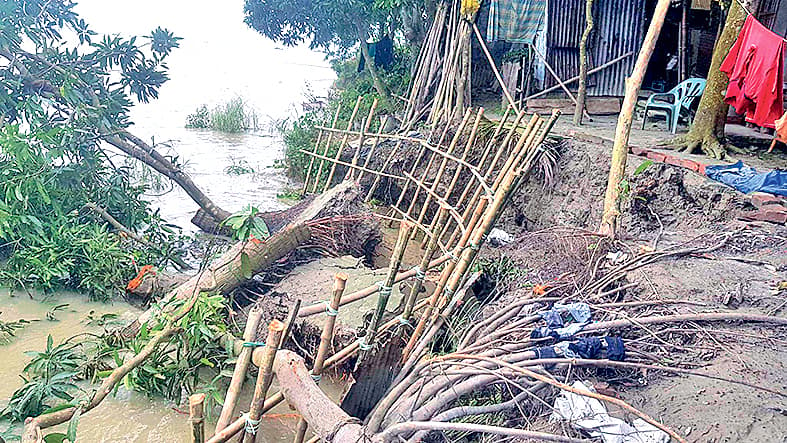 পদ্মা নদীতে বিলীনের ঝুঁকির  মুখে ২০০ বসতভিটা