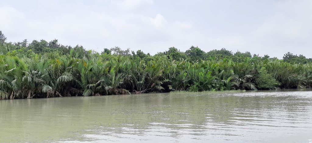 সুন্দরবনে হরিণ শিকারের ফাঁদসহ গ্রেপ্তার ১০ 