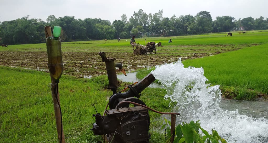 বৃষ্টিনির্ভর আমনে সেচ নির্ভরতায় বাড়ছে খরচ