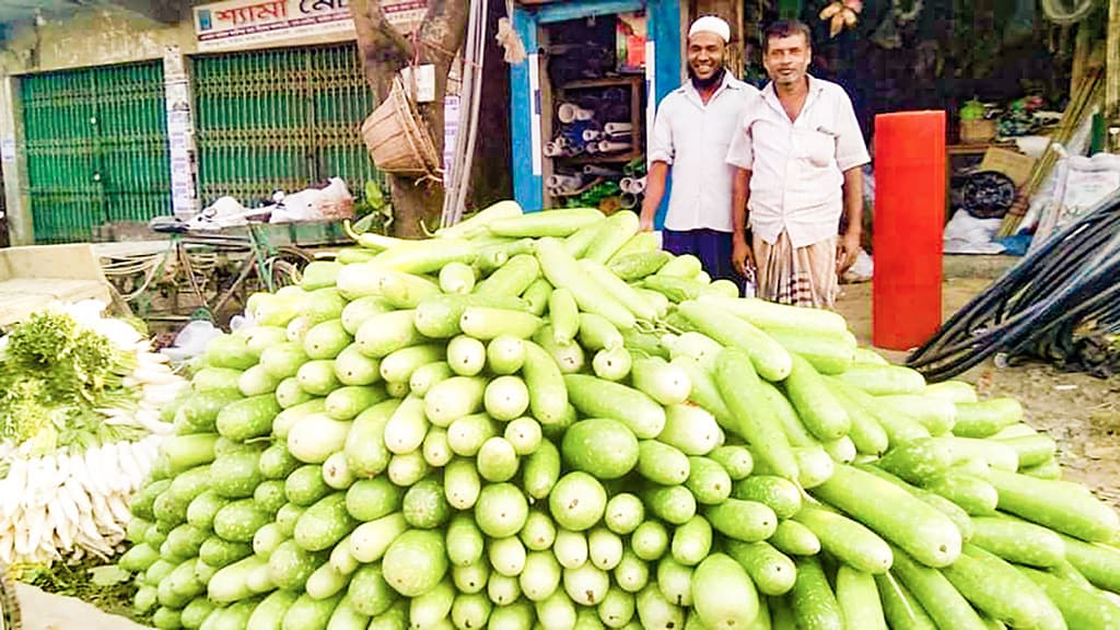 সবজির বাম্পার ফলন