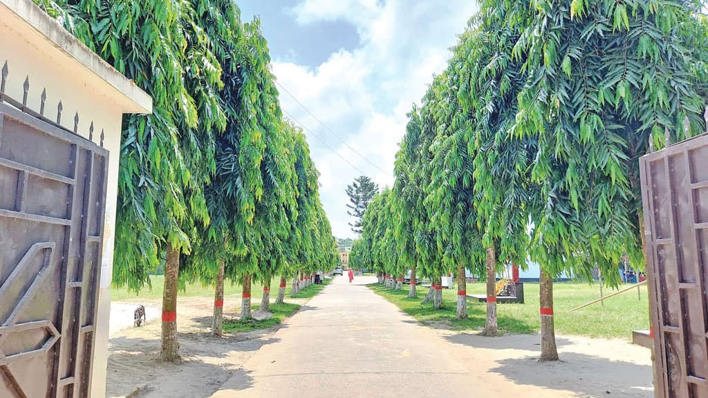 সবুজে ঘেরা দৃষ্টিনন্দন স্থায়ী ক্যাম্পাস