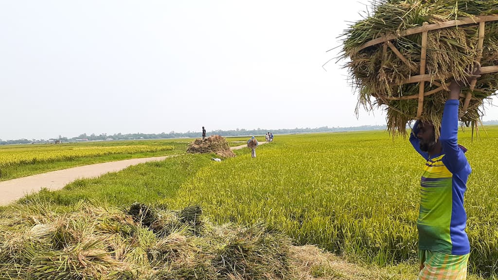 কমেছে নদীর পানি, স্বস্তি ফিরলেও শঙ্কা কাটেনি