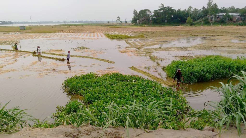 হাজার টাকায়ও মিলছে না শ্রমিক