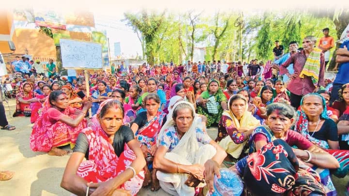 ১৭০ টাকায়ই খুশি হবিগঞ্জের চা শ্রমিকেরা, রোববার যাবেন কাজে 