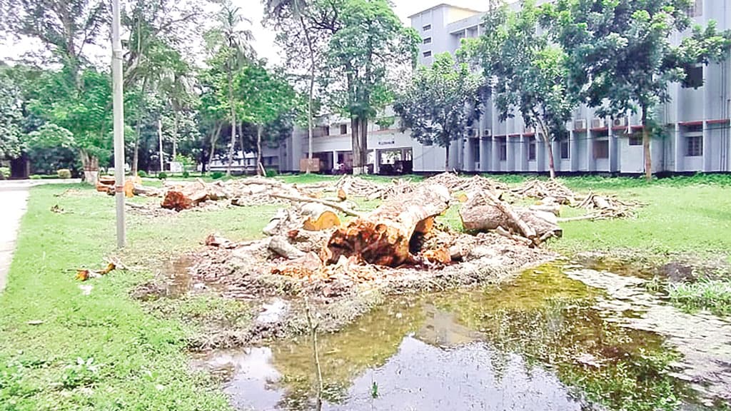 উন্নয়নের নামে বৃক্ষ নিধন