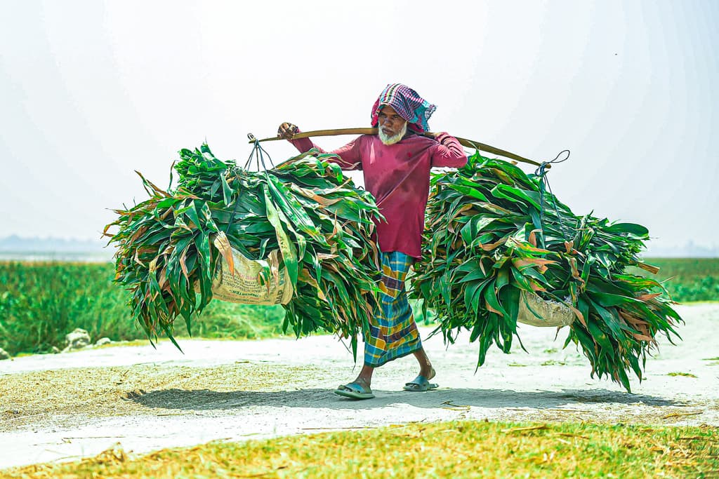 দিনের ছবি (১৩ মে, ২০২৪)