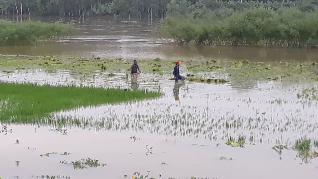 আত্রাই নদের পানি বিপৎসীমার ওপরে, ঝুঁকিতে বন্যা নিয়ন্ত্রণ বাঁধ