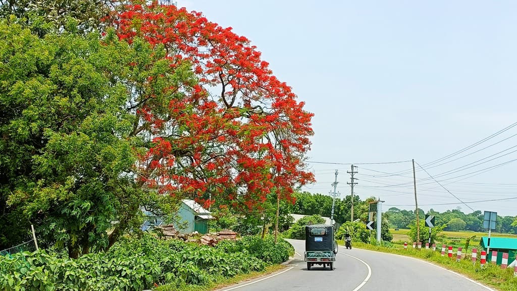 দিনের ছবি (১৮ মে, ২০২৩)