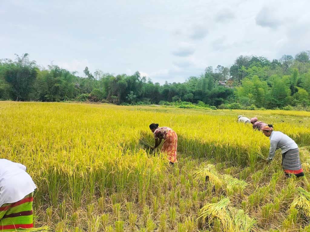 দিনের ছবি (০৭ মে, ২০২৩)