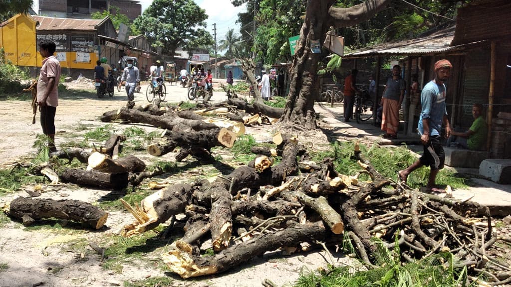 ঈশ্বরদীতে সড়কের দুধারের গাছ কাটা হচ্ছে