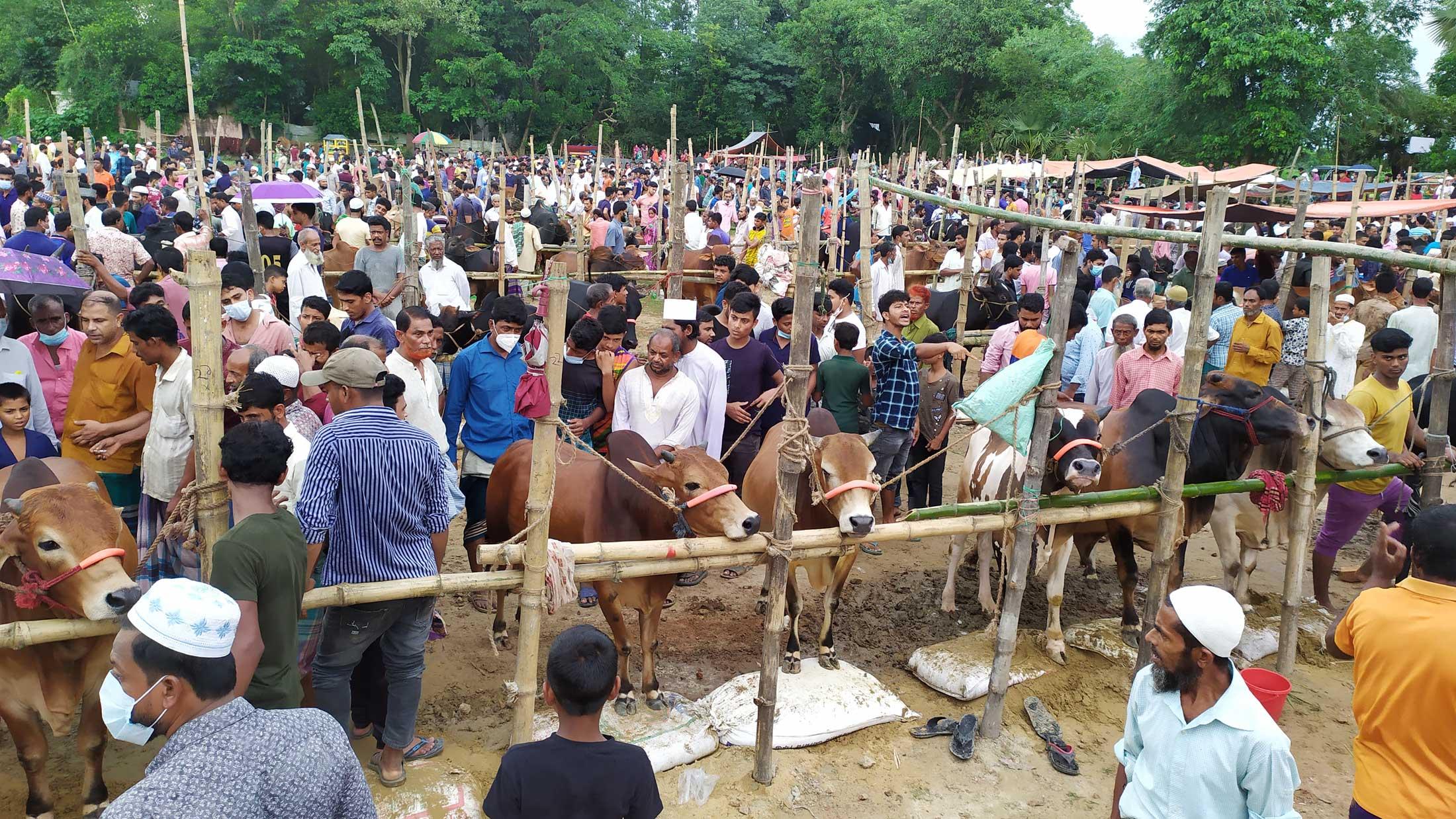 রাজশাহীতে অবিক্রীত আছে ৭৩ হাজার পশু