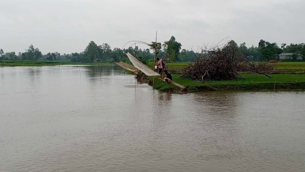 উজানে ভারী বৃষ্টি, কুড়িগ্রামে বন্যার শঙ্কা