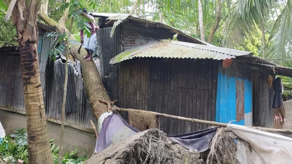 হাতিয়ায় গাছ পড়ে ক্ষতিগ্রস্ত ঘরবাড়ি, ভেঙে গেছে বিদ্যুতের খুঁটি