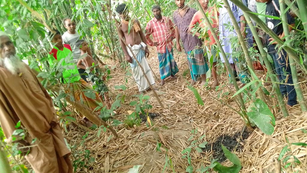 দ্বিতীয় শ্রেণির শিক্ষার্থীকে ধর্ষণ ও হত্যাচেষ্টার অভিযোগ