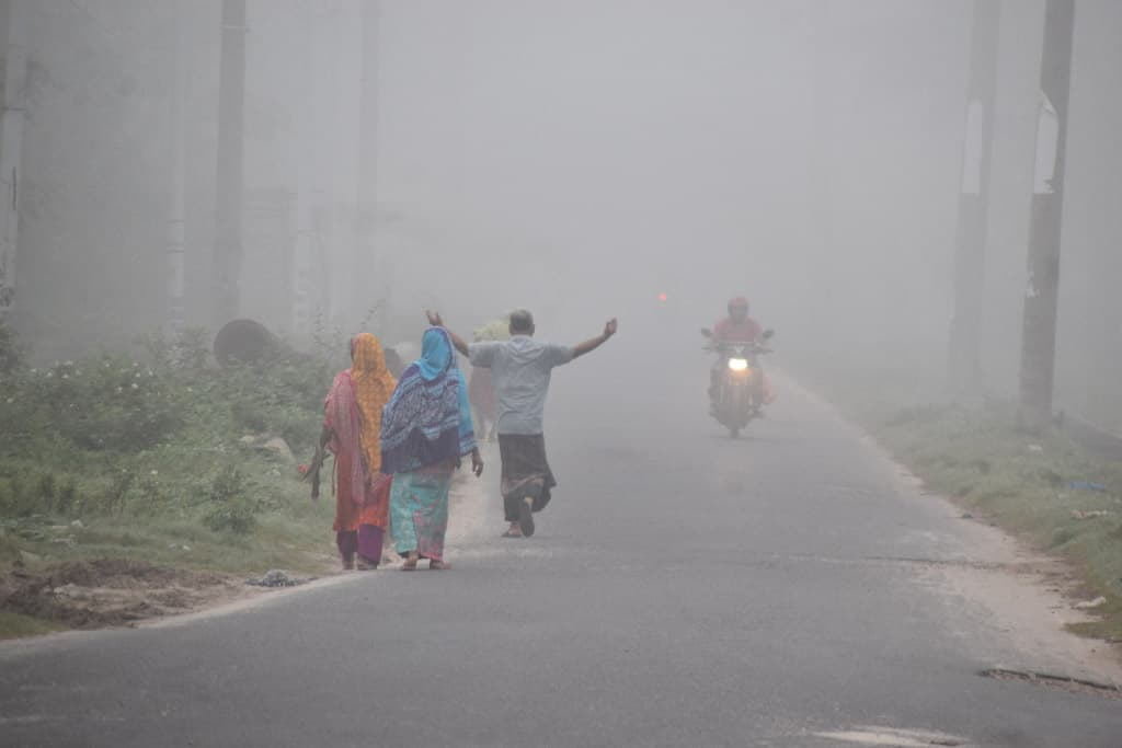 দিনের ছবি (২ নভেম্বর ২০২৪)