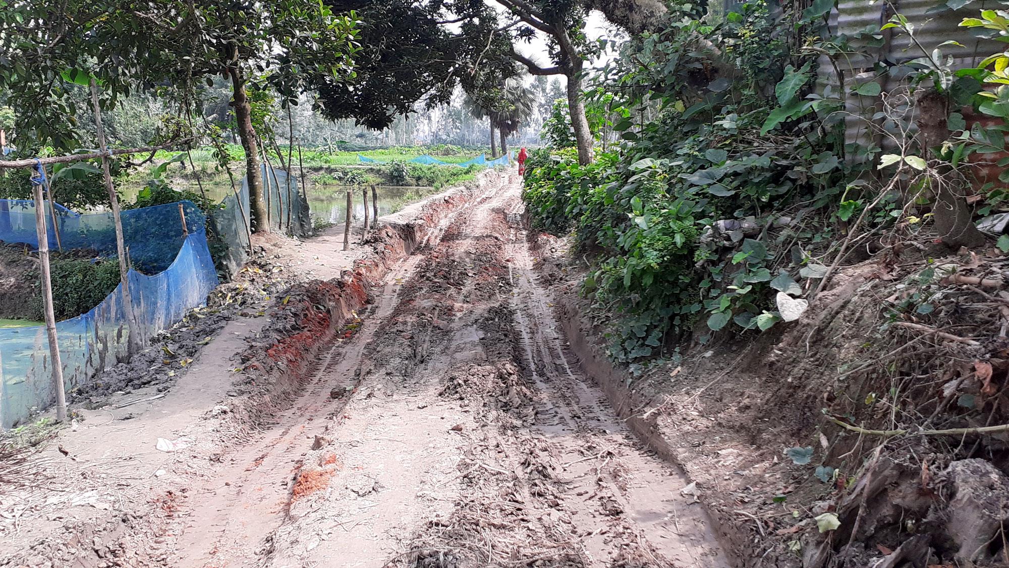 উল্লাপাড়ায় গ্রামীণ রাস্তার বেহাল দশা, দুর্ভোগ চরমে 