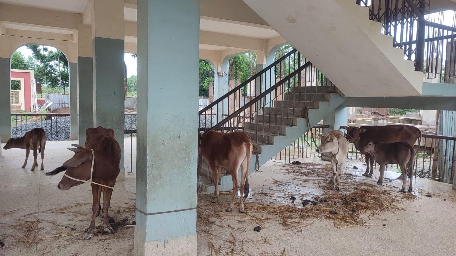 রামুতে অধিকাংশ আশ্রয়কেন্দ্র এখনো ফাঁকা