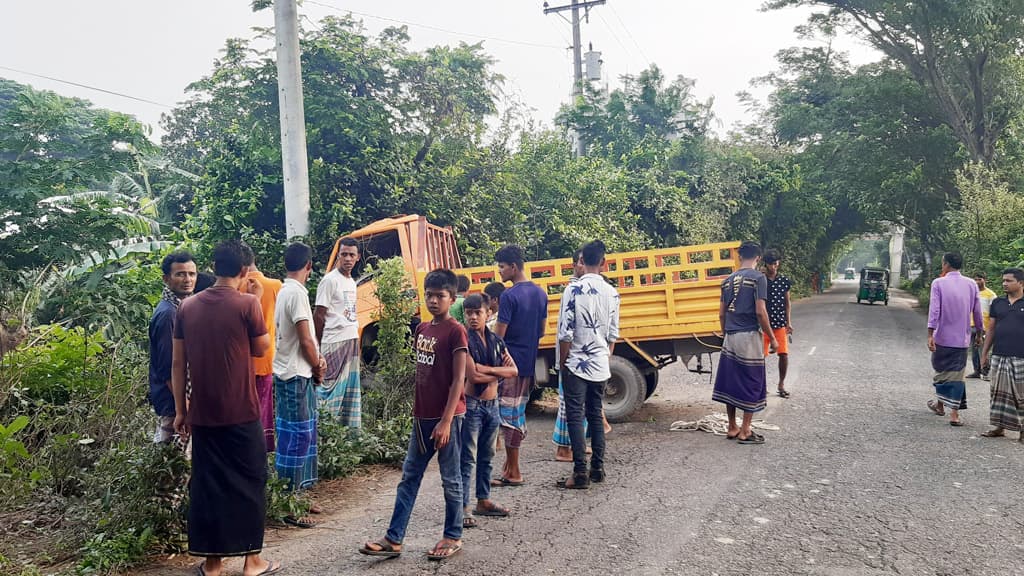 বিদ্যুতের খুঁটির সঙ্গে পিকআপ ভ্যানের ধাক্কায় আহত ২০