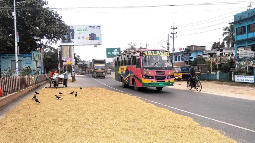 মহাসড়কে শুকানো হচ্ছে ধান , দুর্ঘটনার আশঙ্কা