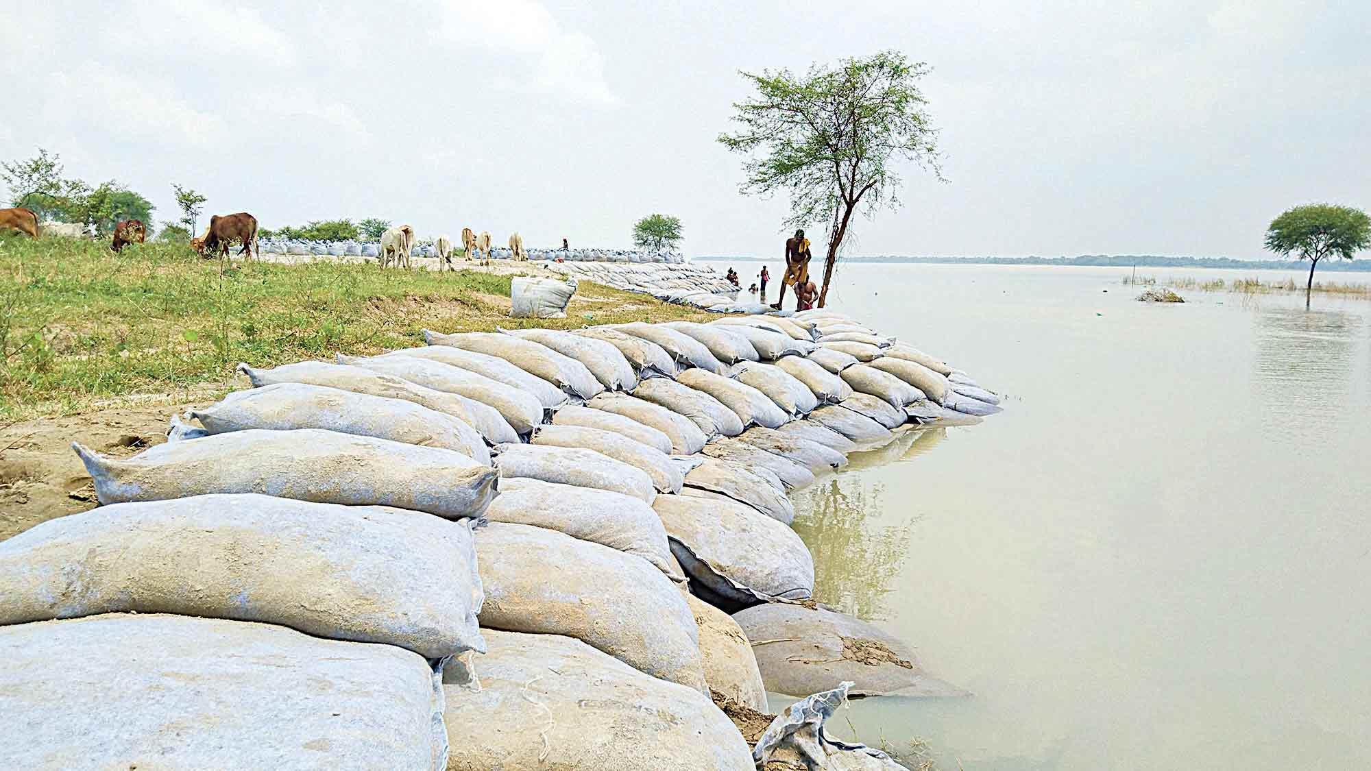 পদ্মায় ভাঙন রোধে বালুর পরিবর্তে মাটি