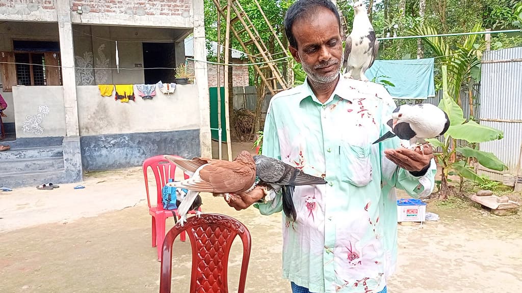 শিকারি থেকে পাখিপ্রেমী ওয়াহেদ 