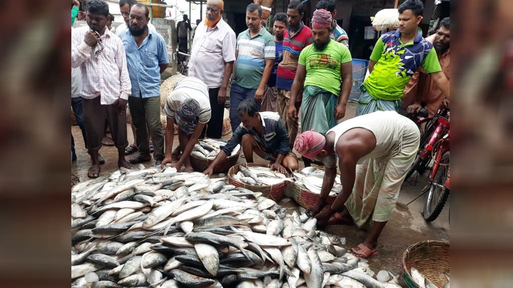 বরিশালে দাম বেশি, পদ্মা সেতু দিয়ে সরাসরি যাচ্ছে ঢাকায়