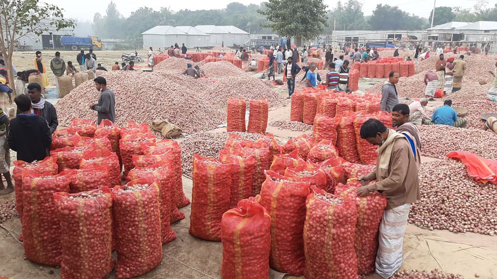 ভালো ফলনেও দাম নিয়ে হতাশ পেঁয়াজচাষিরা