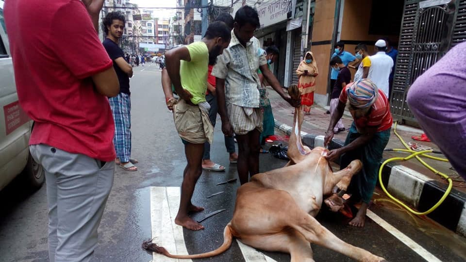 দ্বিতীয় দিনেও চলছে কোরবানি