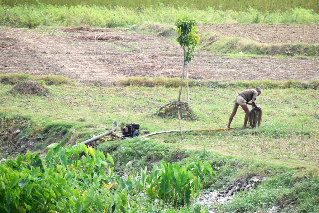 দিনের ছবি (১২ আগস্ট, ২০২৩)