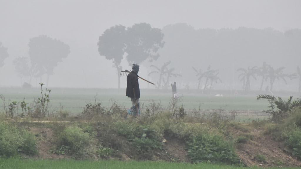 দিনের ছবি (০৮ ফেব্রুয়ারি, ২০২৪)