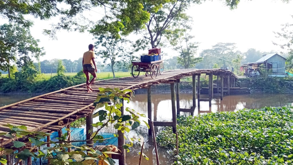 পিলারের ওপর সাঁকো   সেতুর খবর নেই