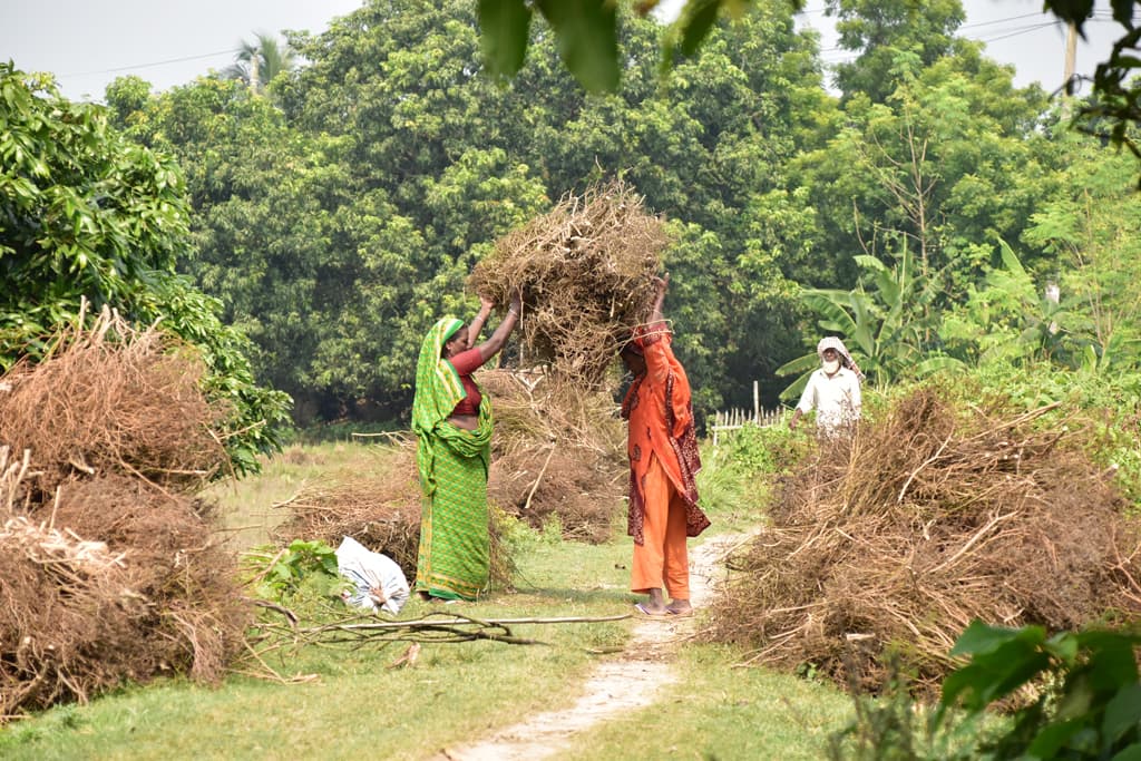 দিনের ছবি (১৭ অক্টোবর, ২০২৩)