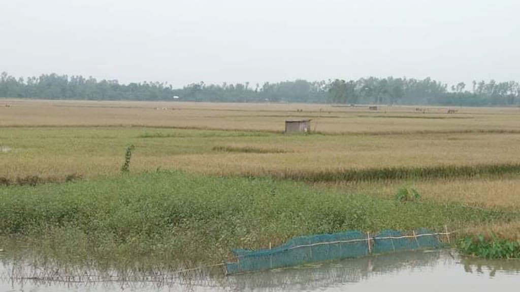 কর্মসৃজনের কারণে নেই শ্রমিক