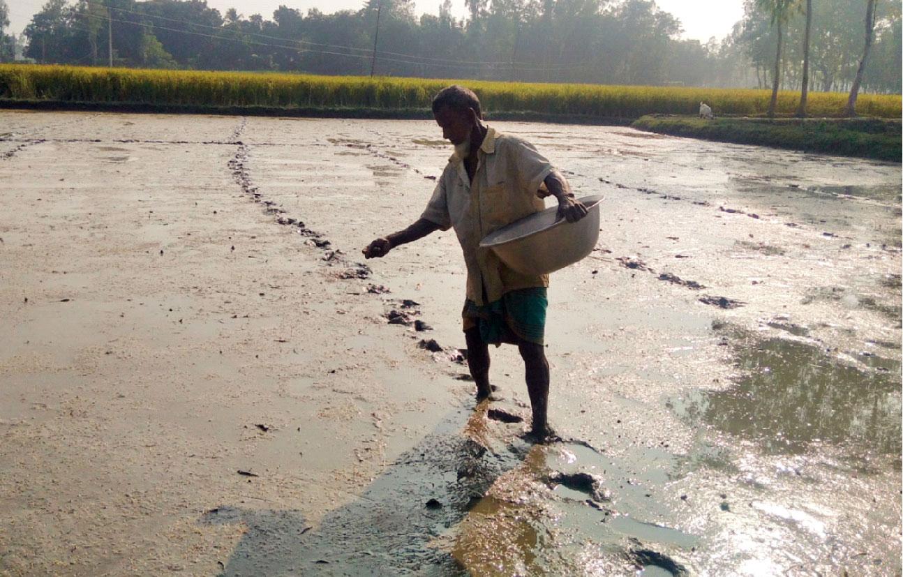 বীজতলা তৈরিতে ব্যস্ত কৃষক