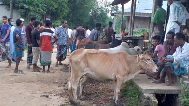 চুনারুঘাটে গরুর হাটে ভ্রাম্যমাণ আদালতের অভিযান