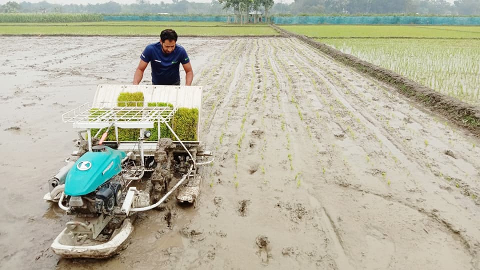 জীবননগরে জনপ্রিয় হচ্ছে রাইস ট্রান্সপ্ল্যান্টার