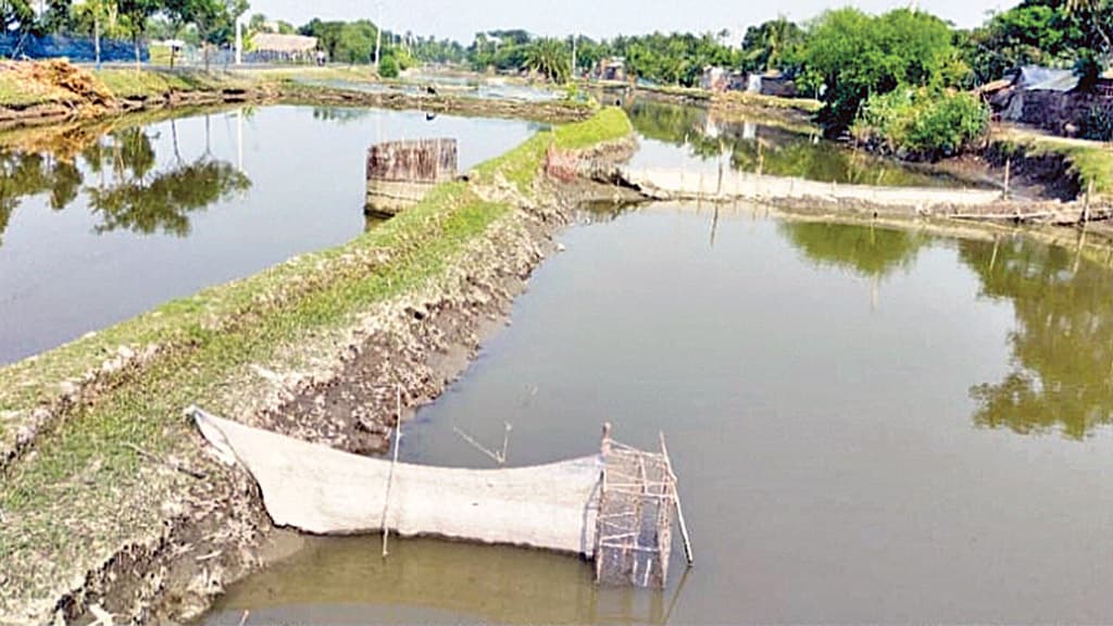 নদীতে বাঁধ, জলাবদ্ধ খেত