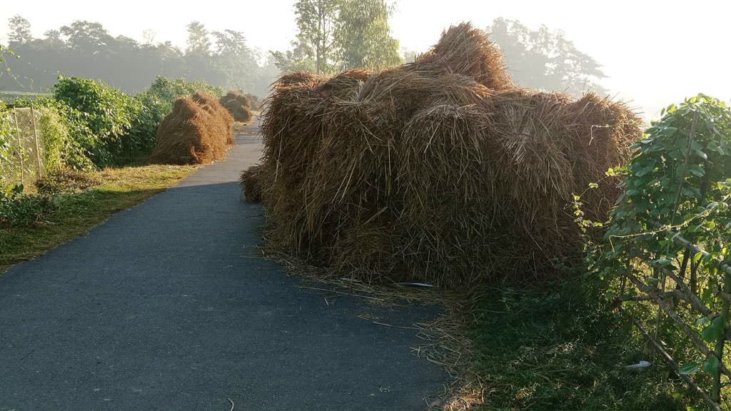 সড়কে ধানের খড়, ভোগান্তি