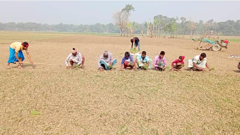 পেঁয়াজ চাষে ব্যস্ত চাষি