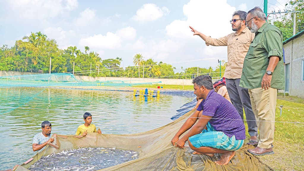 আধুনিক প্রযুক্তিতে গুণগত মানের মাছ উৎপাদন